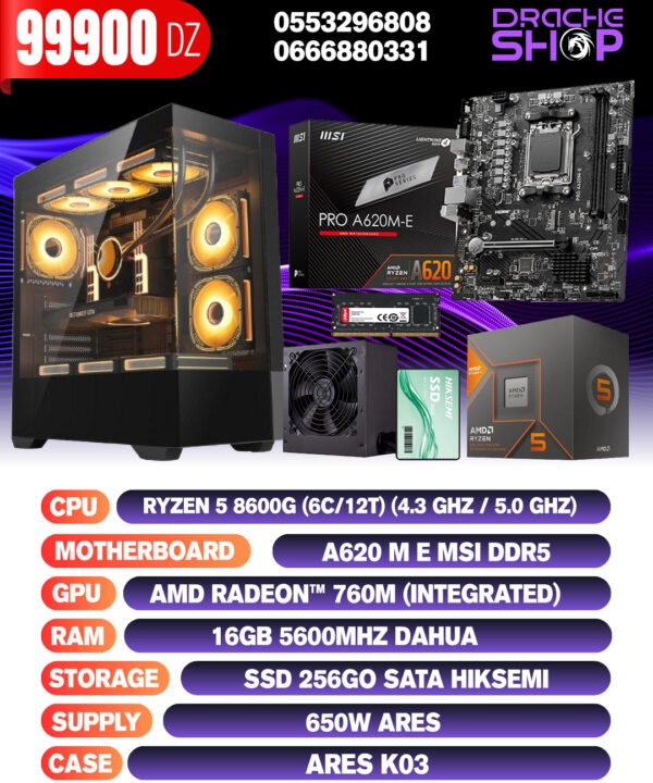 Config Ryzen 5 8600G RAM 16GB DDR5 SSD 256GB