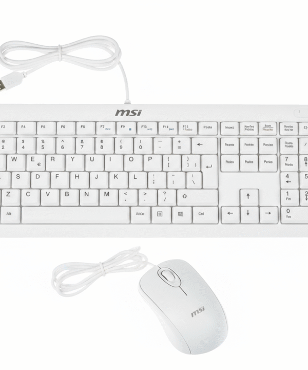 COMBO CLAVIER MOUSE OFFICE MSI QWERTY