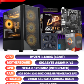 CONFIG RYZEN 3 4300G+VEGA 8